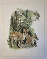 Willy Eugen Bär  Litho. Nr. handsign. Tier-Motiv,  50x40cm