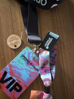 Openair St Gallen VIP Ticket 27-28 Juni 2026 Sonntag OASG