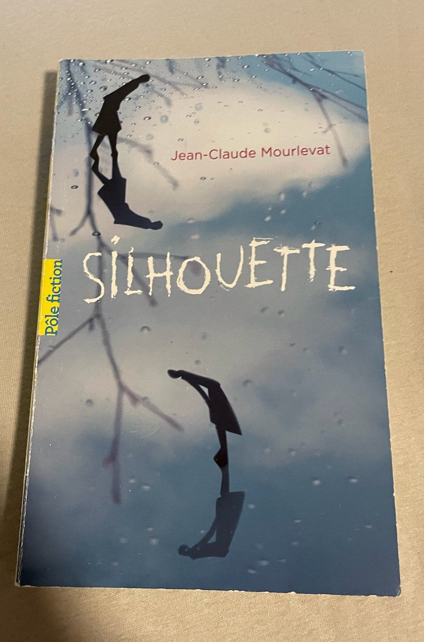 Libri: Silhouette – Usato da Uster venduto da ali_mp6n