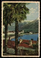 AK Ascona, Seepromenade mit Palmen und Bergpanorama
