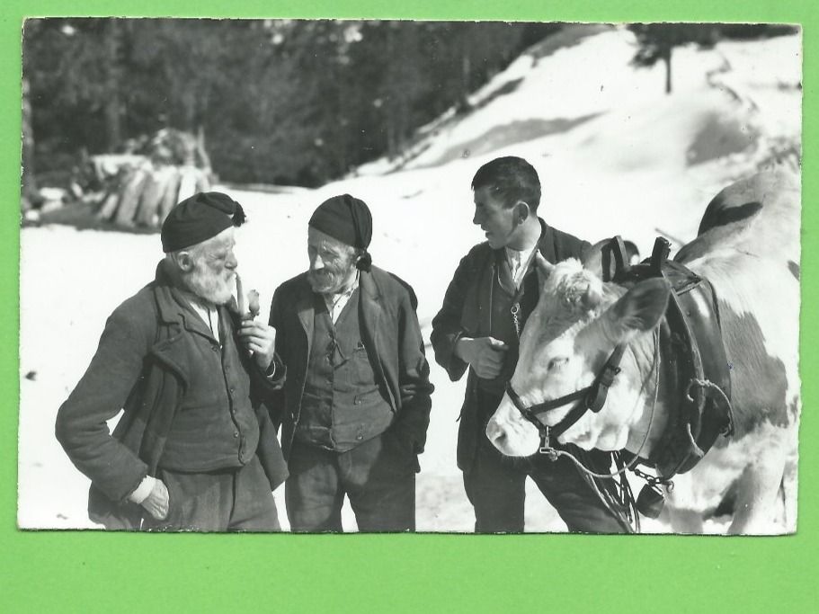 Ansichtskarten: Bergbauern – Neu (gemäss Beschreibung) aus Zürich von t24_de