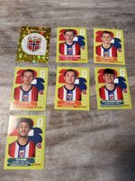 Panini WM 2026 Norwegen NOR 7 Sticker
