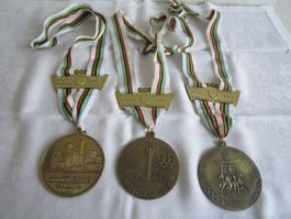 3 Medaillen Schweizer Voralpen Brevet, 1996, 1999, 2004