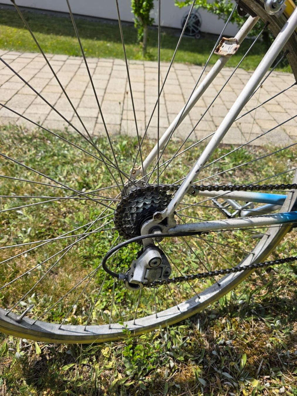 Biciclette: Vintage-Coronado-Rennrad – Usato da Zürich venduto da joe_wmk2 6