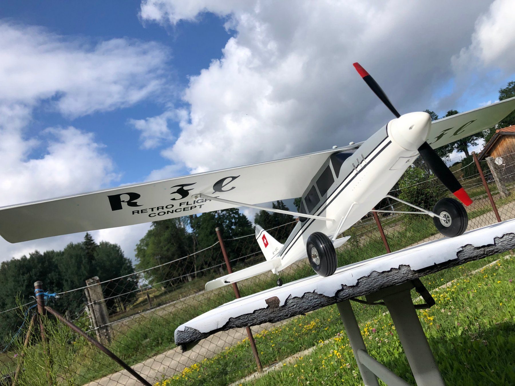 Modellismo RC: Avion multi rôle – Nuovo (secondo la descrizione) da Les Bois venduto da Nanouu0