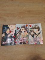 Romance Manga Demon Guardian Band 1-3
