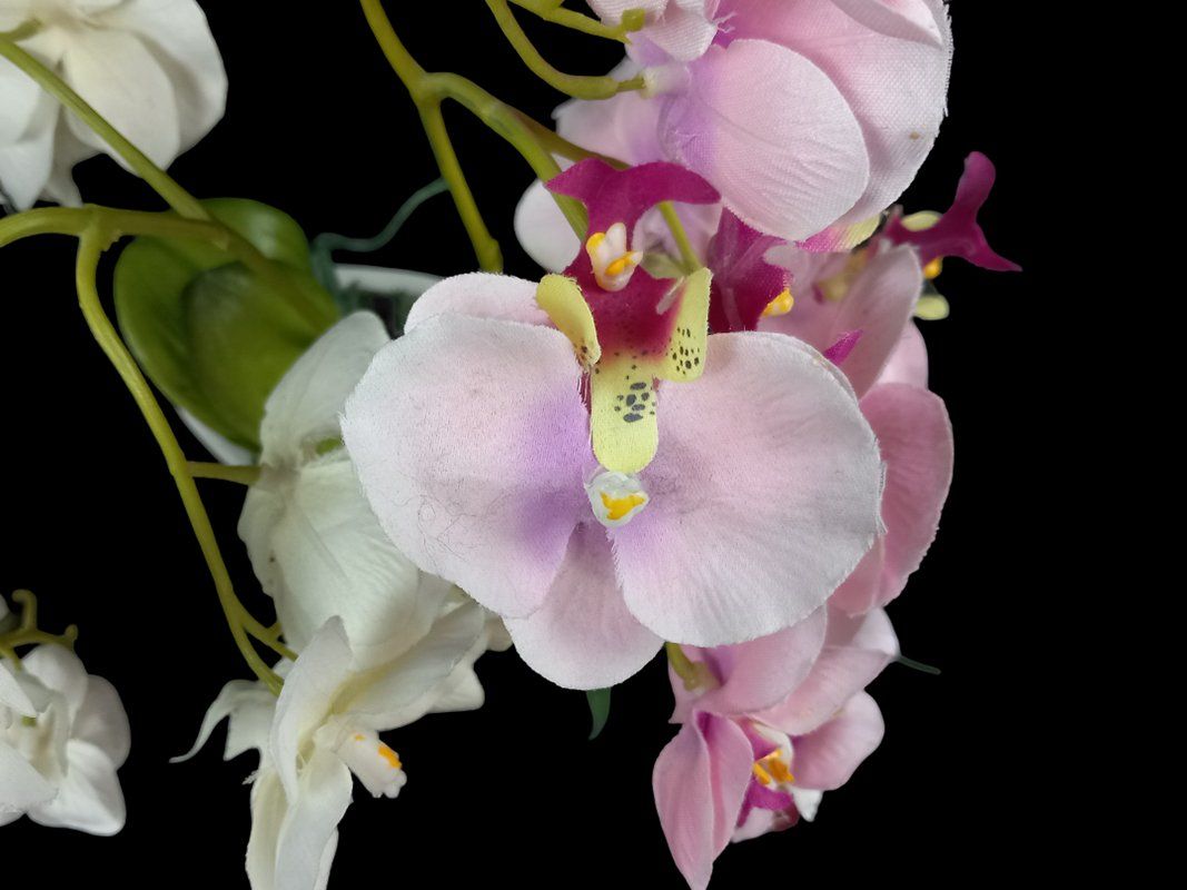 Tutte le decorazioni: Kunstpflanze Orchidee – Usato da Hünenberg venduto da Restwert_Zug 6