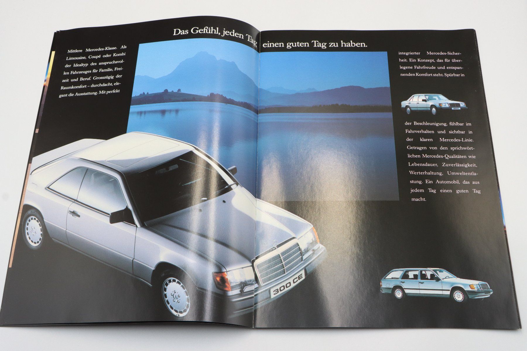 Mercedes-Benz Documents: Mercedes Modellprogramm 1989 Prospekt – D'occasion à Bühl b.Aarberg par Collectorpassions 3