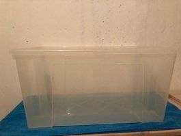 40 Stück Verpackungs Boxen ohne Deckel