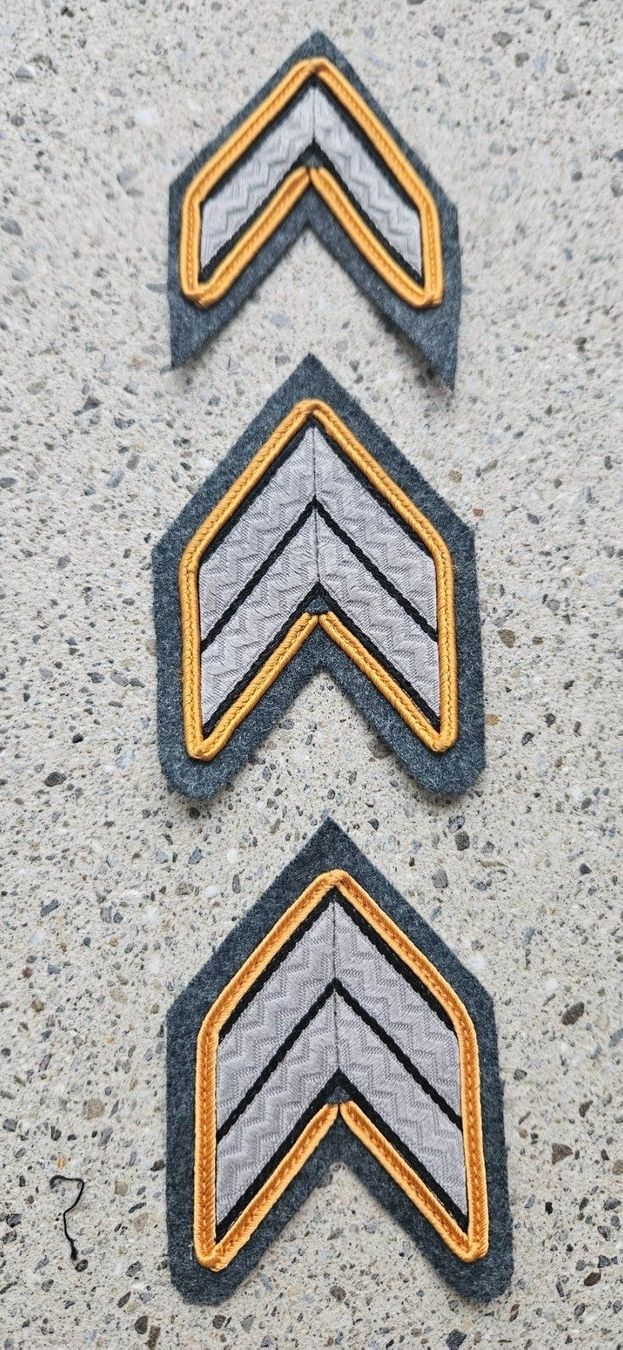 Schweizer Armee Placchette & Badge: *** Militär Abzeichen *** – Nuovo e nell'imballaggio originale da Riedholz venduto da fr_sIruP