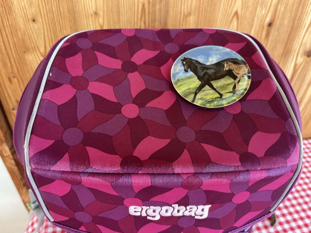 Ergobag Kindertaschen: Ergobag cubo light / Thek – Gebraucht aus Zürich von yeti044 3