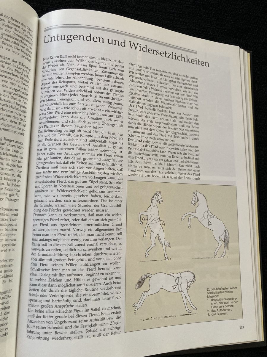 Libri: Das grosse Buch des Pferdes, Pferde, Reiten – Usato da Vinelz venduto da Viewfinder84 6