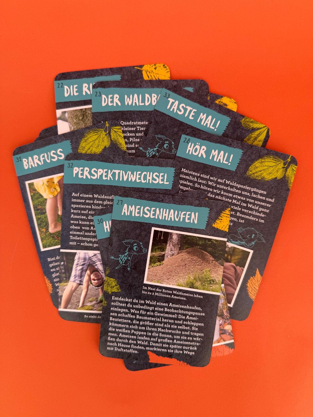 Giochi: 50 Wald-Abenteuer Karten – Nuovo (secondo la descrizione) da Zürich venduto da kj_8465 1