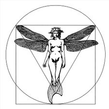 Profile image of secret-nature.ch