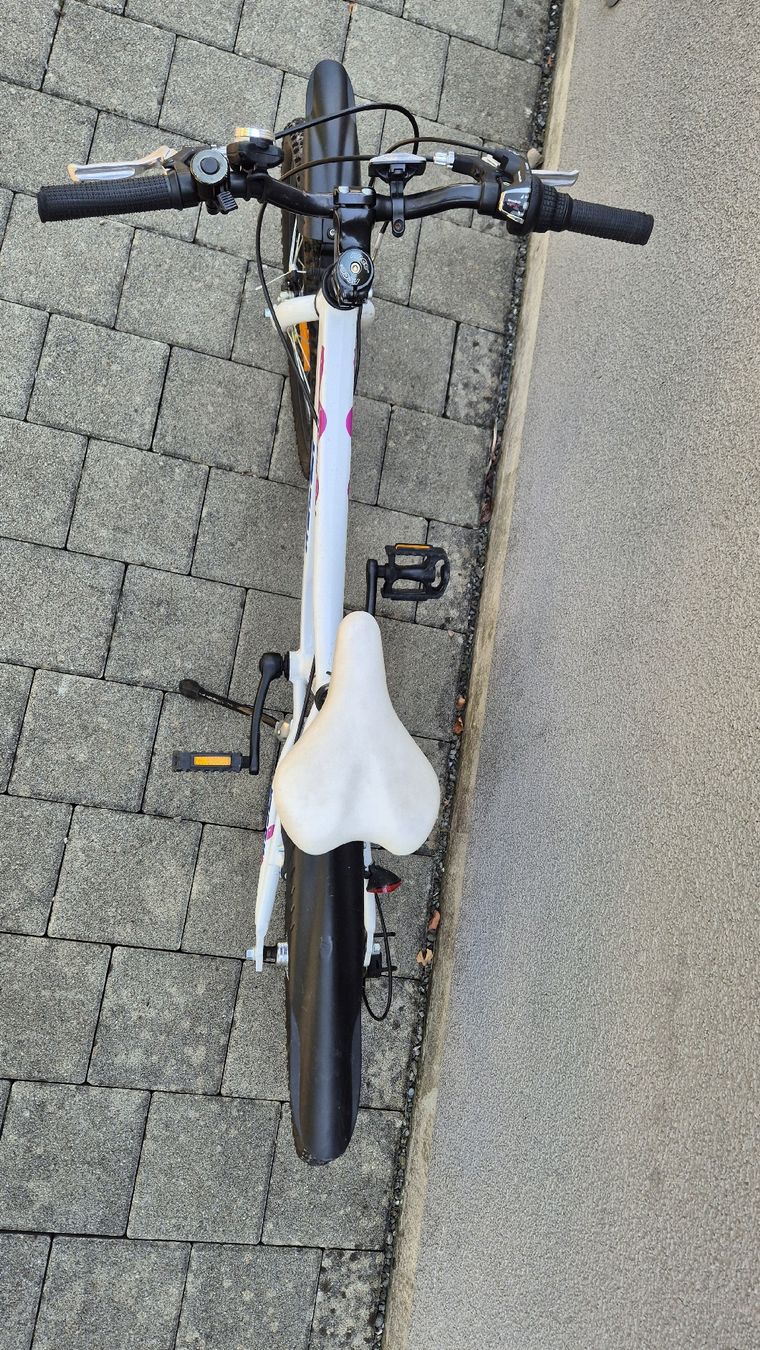 Phoenix Biciclette: Kinderfahrrad Python Racer 20" – Usato da Uttigen venduto da Mags78 2