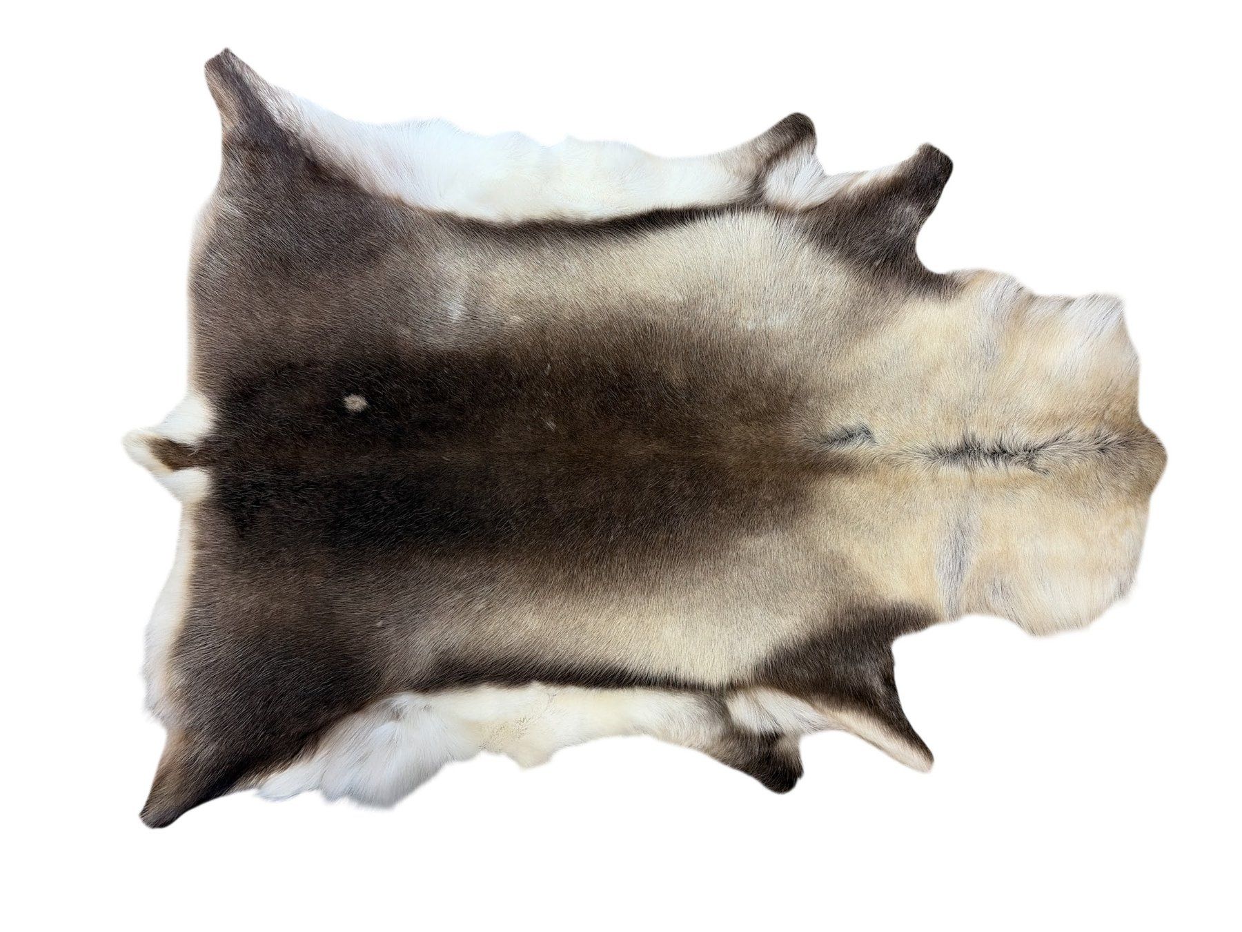 Tappeti: Echtes Rentierfell mit Silikon behandelt – Nuovo e nell'imballaggio originale da Arbedo venduto da patagonialeatherrugs 2