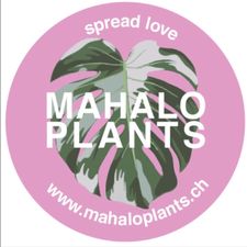 Profile image of Mahalo_Plants
