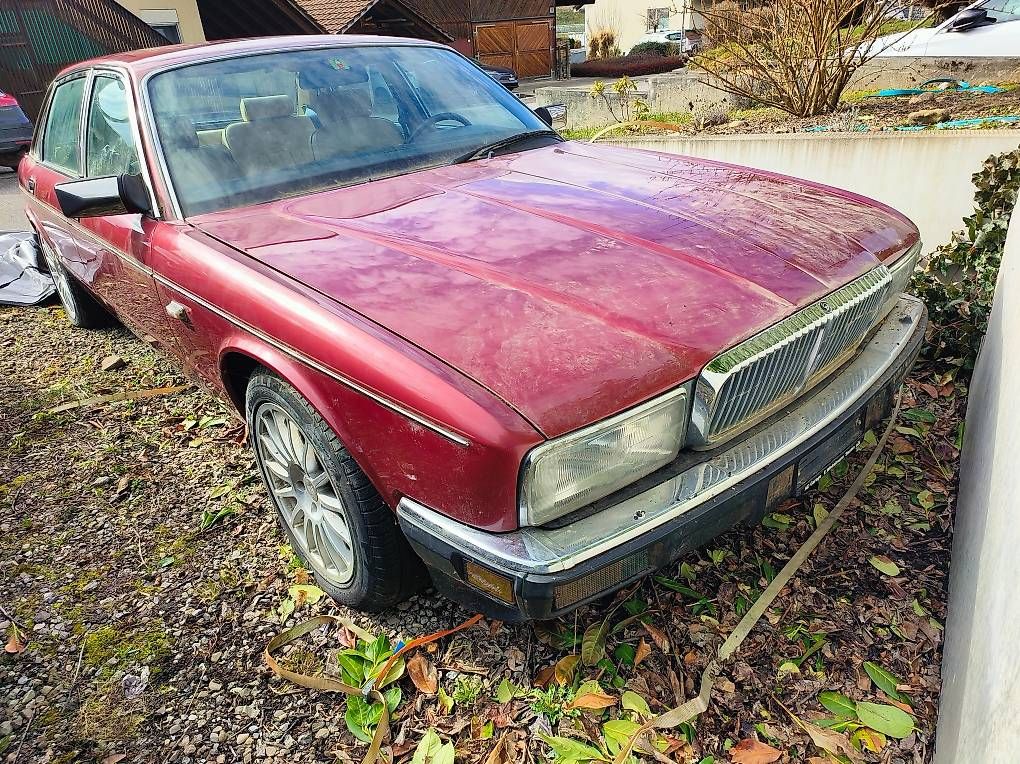 Autos: Daimler XJ6-3.6 – D'occasion à Siselen BE par Kiwi700