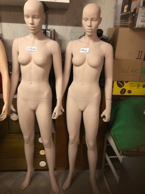 Altro in Decorazioni & Accessori: Schaufensterpuppen 2 Damen  10%  WM- Rabatt – Usato da Ehrendingen venduto da Silberpudel 2