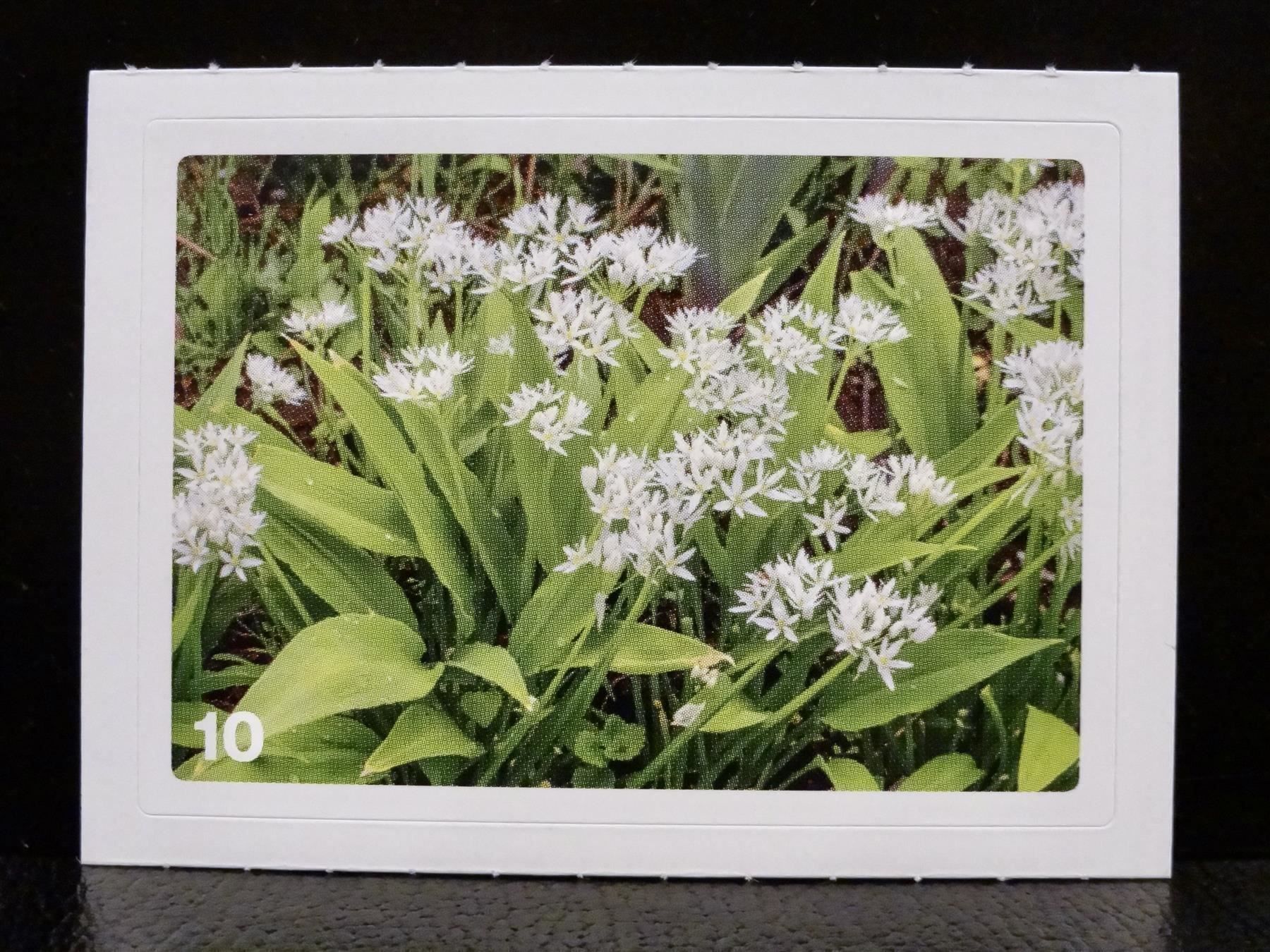 Migros Carte collezionabili: MIGROS MANIA Nature Detectives Nr. 10 – Usato da Kerzers venduto da zimmergruen