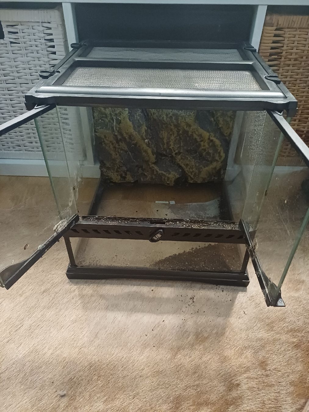 Terrario: exo Terra Terrarium 30x30x30 – Usato da Thalwil venduto da Skorp96 1