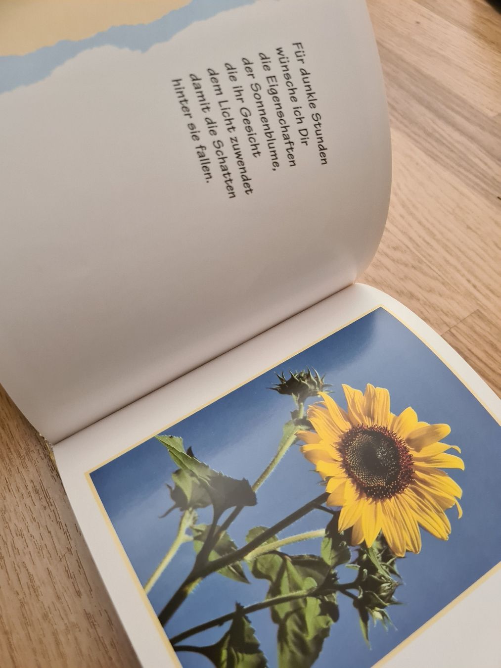 Libri: Buch was ich Dir Wünsche – Usato da Langenthal venduto da Polarisstern 1
