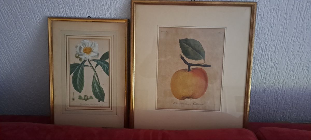 Dipinti: zwei Bilder – Usato da Dübendorf venduto da hirbe-51g