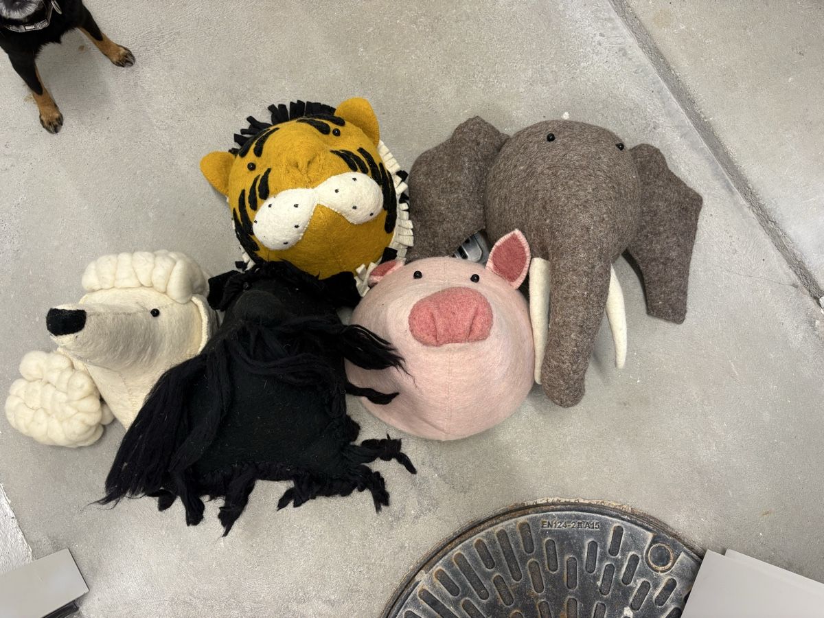 Tutte le decorazioni: Animal head decoration – Usato da Zürich venduto da LeaWahl
