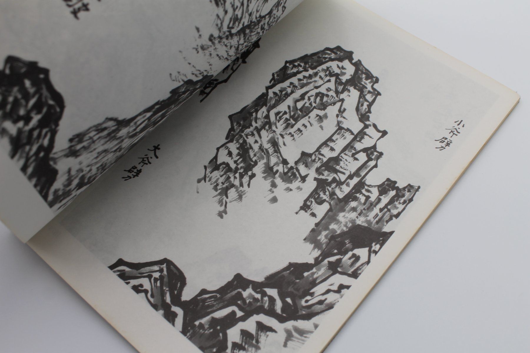 Libri: altes Buch - Chinesische Kunst / Malerei – Usato da Lachen SZ venduto da ratata 1