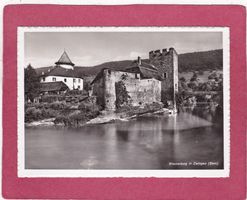 Wasserburg in Zwingen