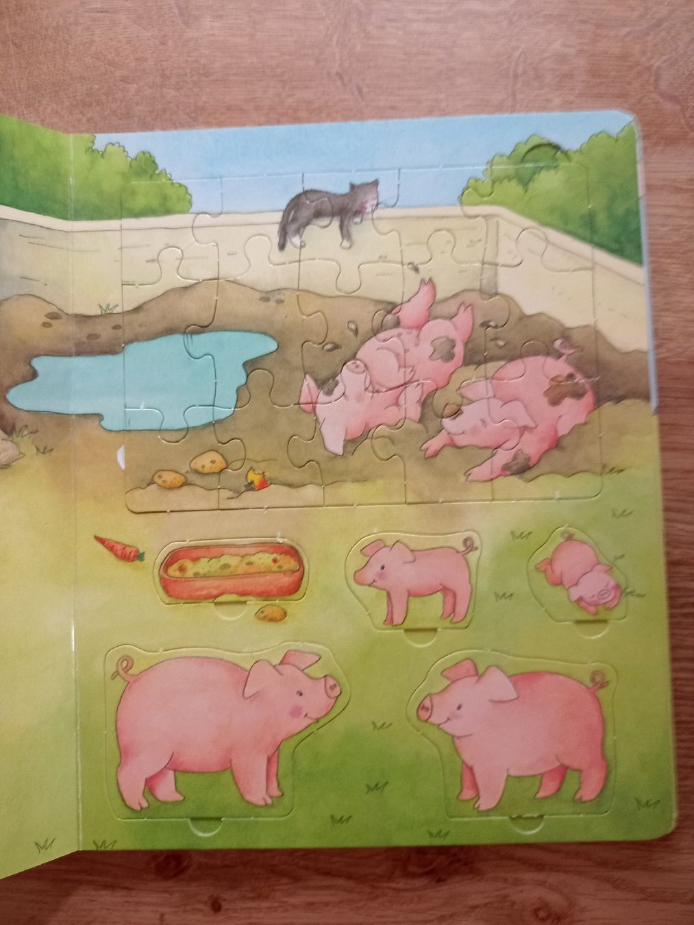 Libri: Puzzle Buch mit CD – Usato da Winterthur venduto da voan 3