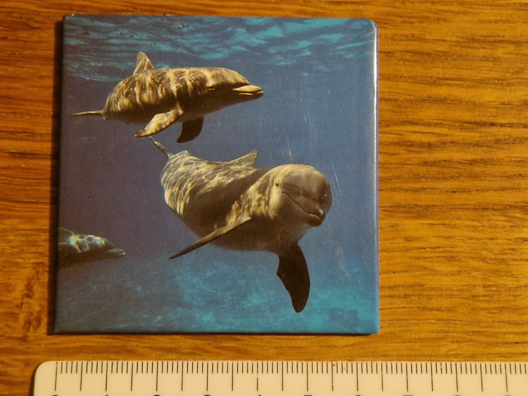 Calamite: Magnet pour frigo - dauphins – Nuovo (secondo la descrizione) da Villars-sur-Glâne venduto da Agnie80 3
