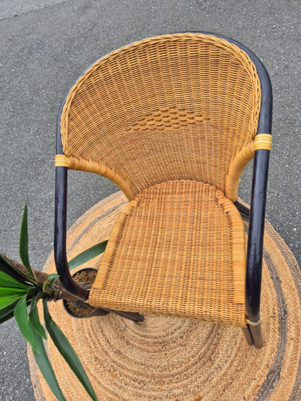 Sedie: Chaise rotin osier  vintage – Usato da Fully venduto da tameab 1