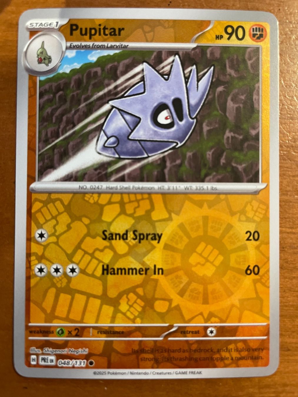 Pokémon Carte collezionabili: Pokemon Pupitar Reverse (Versand gratis) – Nuovo (secondo la descrizione) da Chur venduto da Angerson