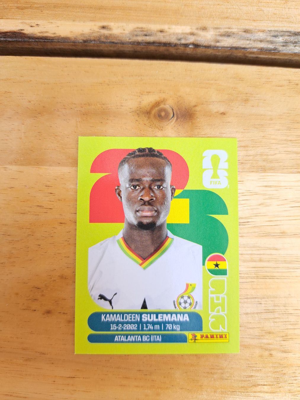 Panini Carte collezionabili: Panini FIFA World Cup GHA 12 – Nuovo (secondo la descrizione) da Waldenburg venduto da Sysilu