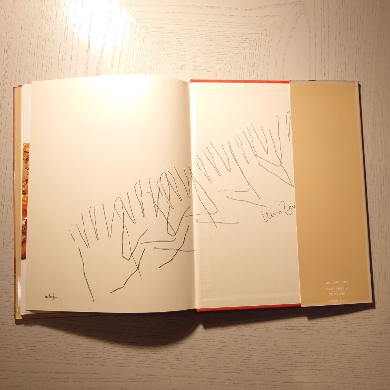 Bücher: INGEBORG TEN HAEFF. John Githens. Erstausgabe SIGNIERT.2004 – Gebraucht aus Zürich von Simple23 8
