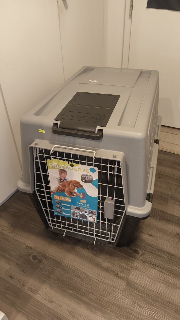 Ferplast Gabbie, trasporto & Sicurezza: Hundebox Ferplast Atlas 60 – Usato da Hittnau venduto da A.Schaufelberger
