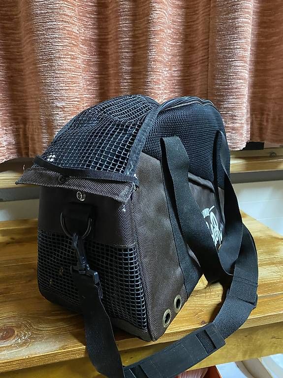 Borse: Hunde-Tragtasche – Usato da Cazis venduto da arinba 2