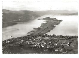 Erlach / Cerlier (BE) St. Petersinsel - Flugaufnahme - 1952