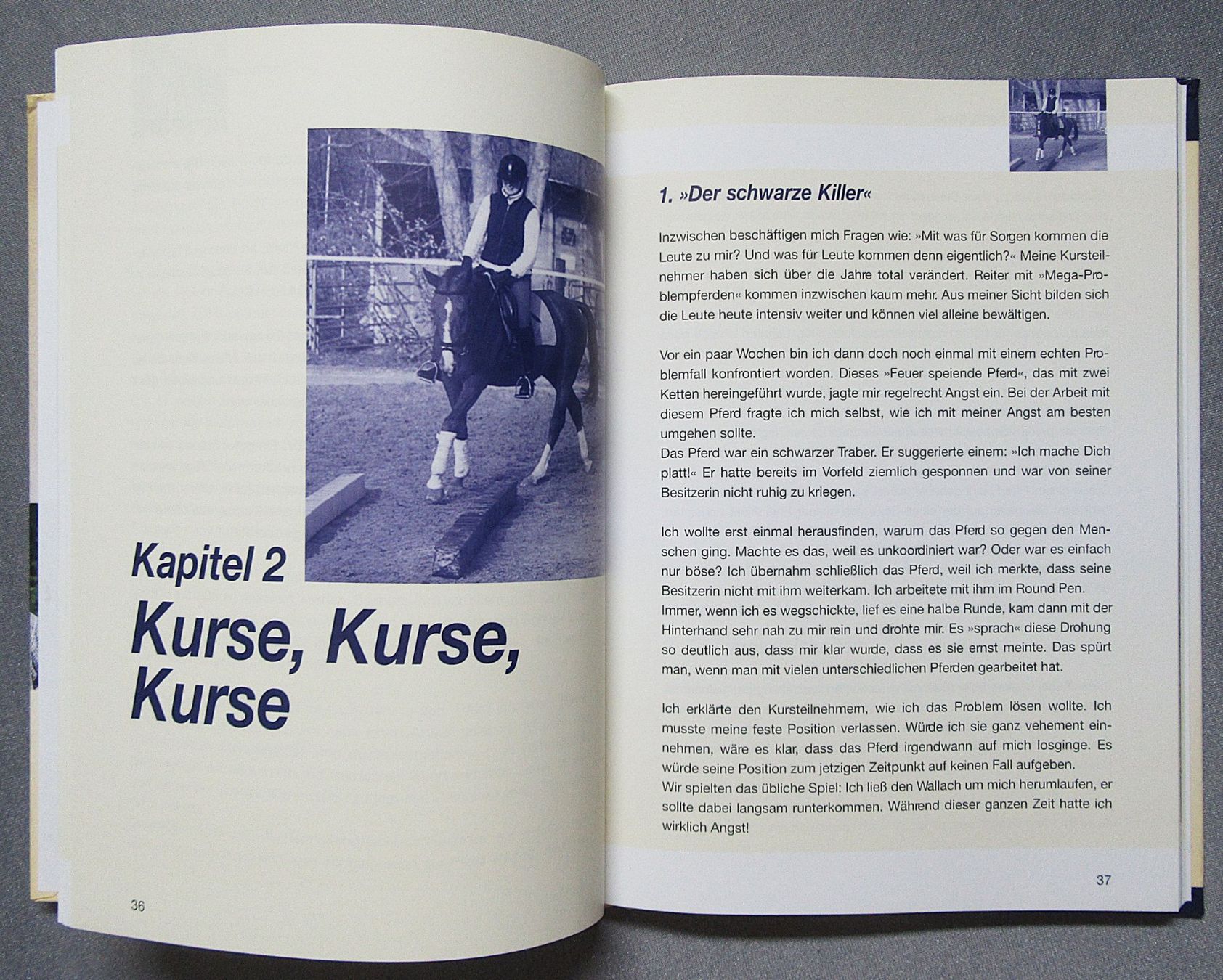 Libri: Kulante Konsequenz - Mein Weg zu den Pferden – Usato da Auenstein venduto da Padabimbim 3