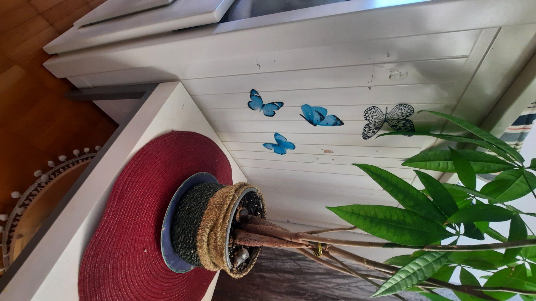 Ikea Letti: Einzel-/Doppelbett Hemnes mit viel Stauraum – Usato da Adligenswil venduto da Ahappyday 1