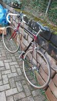 Vintage Specialized Epic Rennrad - Top Zustand