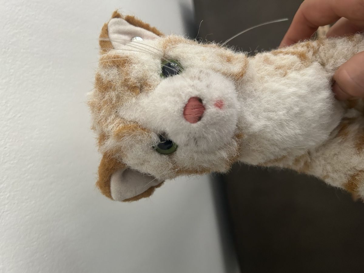 Steiff Jouets: 2 Steiff Tiere Katze und Bär  – D'occasion à Hochfelden par larson27 6