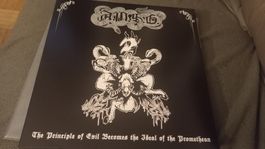 A.M.S.G. - The Principle...Vinyl LP BLACK METAL