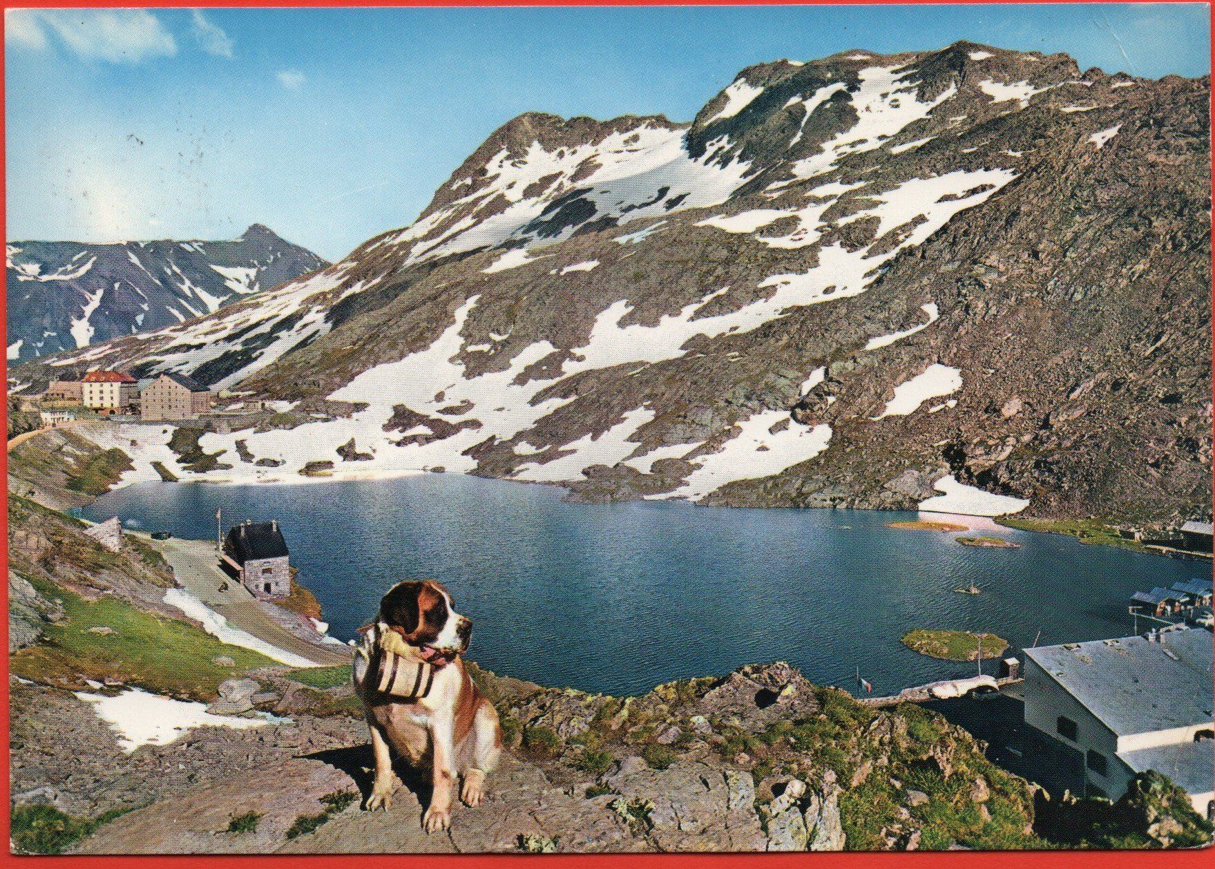Cartoline postali: GRAND ST. BERNARD Frontière Italo-Suisse – Usato da Jona venduto da philajona