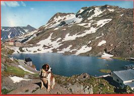 GRAND ST. BERNARD Frontière Italo-Suisse