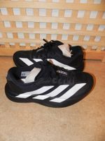 Adidas Adizero EVO SL Laufschuh Männer Performance  Gr. 42