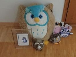 Wunderschöne Eulensammlung