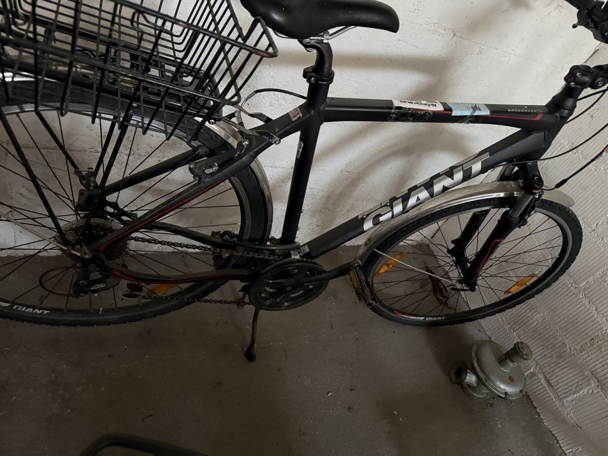 Biciclette: Herren Velo   – Usato da Zürich venduto da Patoreks 2