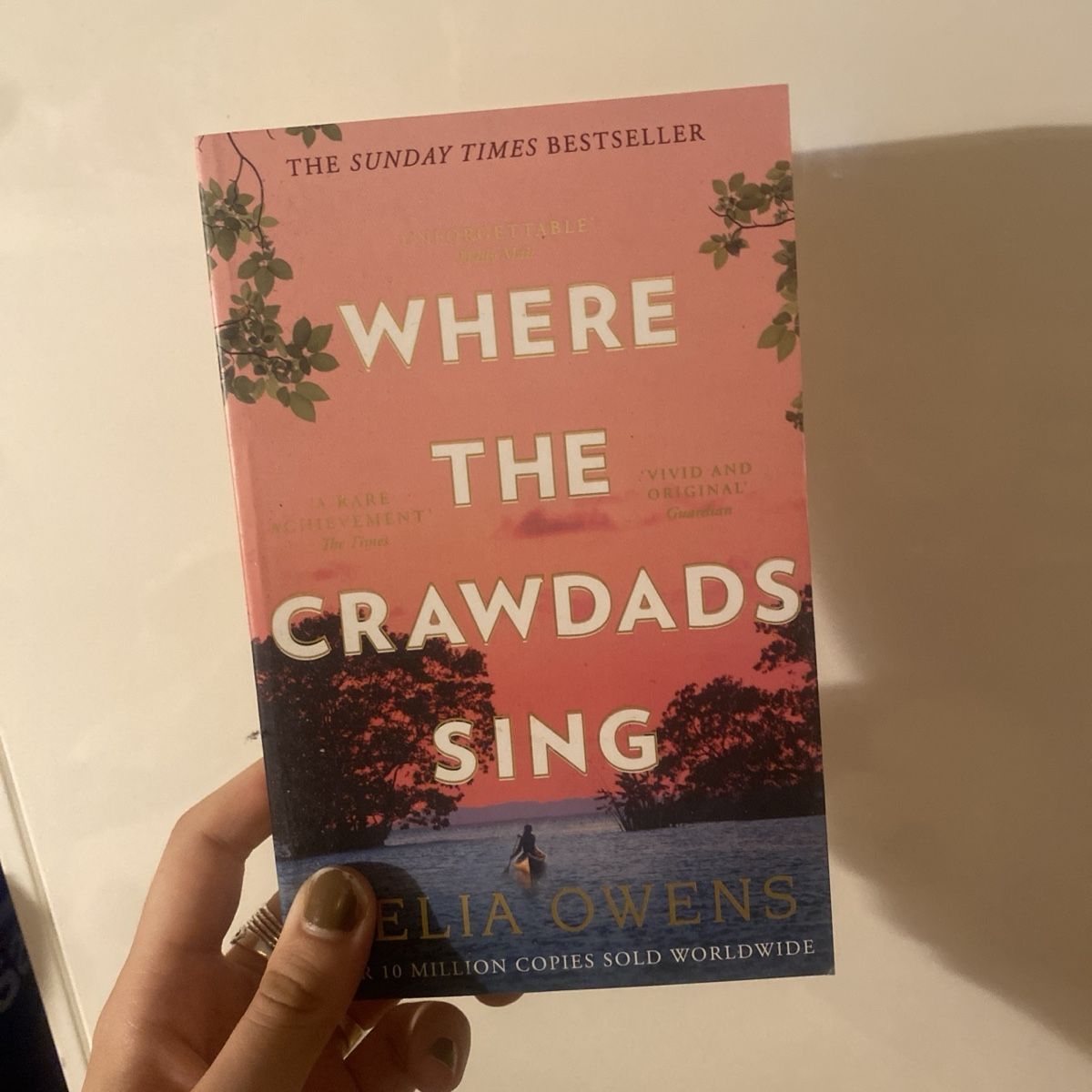 Bücher: where the crawdads sing, delia owens – Gebraucht aus Zürich von chind